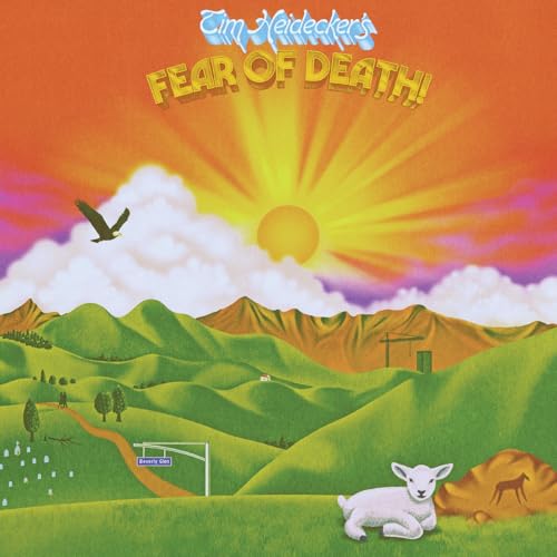 Fear of Death [Vinyl LP] von Tim Heidicker