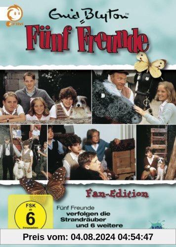 Fünf Freunde - Fan Edition - Box 1 (5 DVDs) von Tim Leandro