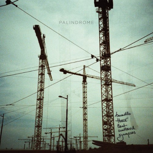 Bundle These Last Scattered Synapses (12'' Vinyl) [Vinyl LP] von Timezone (Timezone)