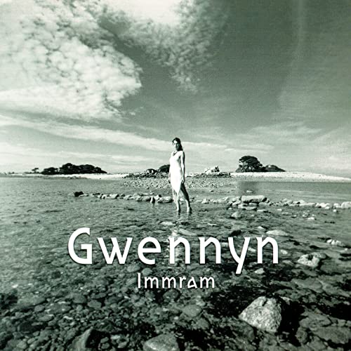 Immram [Vinyl LP] von Non communiqué