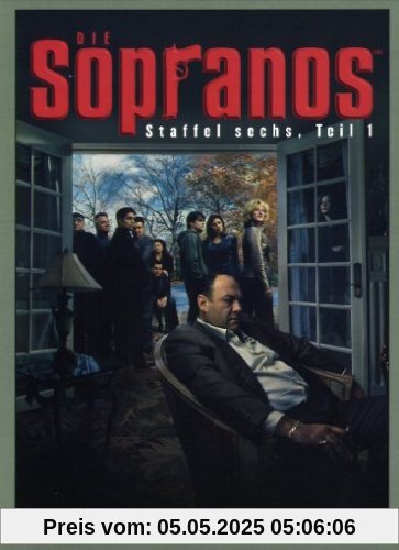 Die Sopranos - Staffel sechs, Teil 1 [4 DVDs] von Timothy Patten