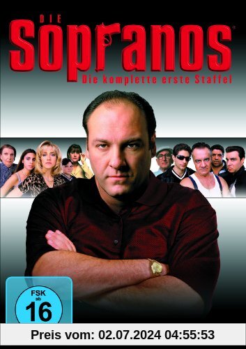 Die Sopranos - Die komplette erste Staffel [4 DVDs] von Timothy Van Patten
