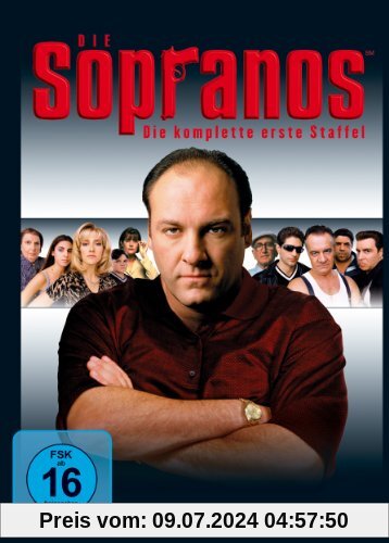 Die Sopranos - Die komplette erste Staffel [4 DVDs] von Timothy Van Patten