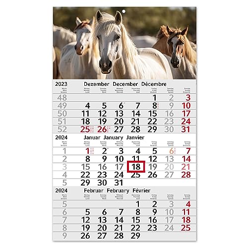 3-Monatskalender 2024 Pferd I Wandkalender 3 Monate Einblatt I 30 x 49 cm I mehrsprachig D/GB/F Jahresplaner mit Schieber Motiv Reiten I tr_198 von Timr