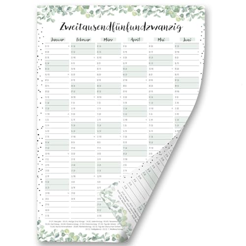 Timr Wandkalender 2025 Motiv Eukalyptus Dots - DIN A3 Kalender 12 Monate I tr295 von Timr