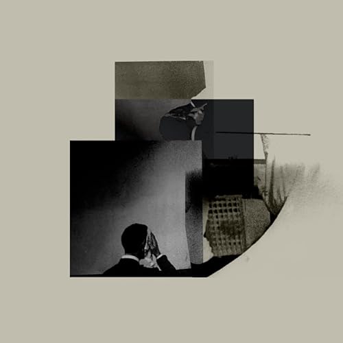 Fault Lines [Vinyl LP] von Tin Angel