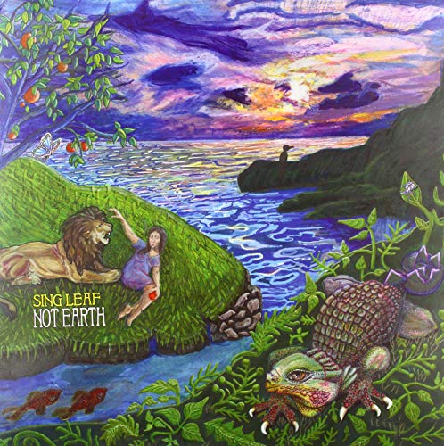 Not Earth [Vinyl LP] von Tin Angel
