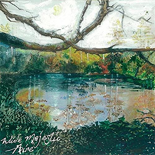 Wide Majestic Aire [Vinyl LP] von Tin Angel