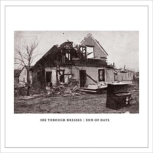 End of Days [Vinyl Maxi-Single] von Tiny Engines