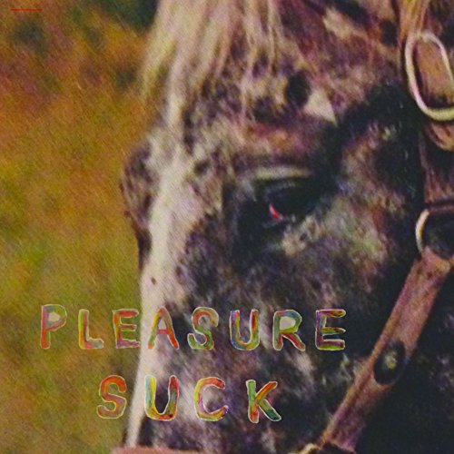 Pleasure Suck [Vinyl LP] von Tiny Engines