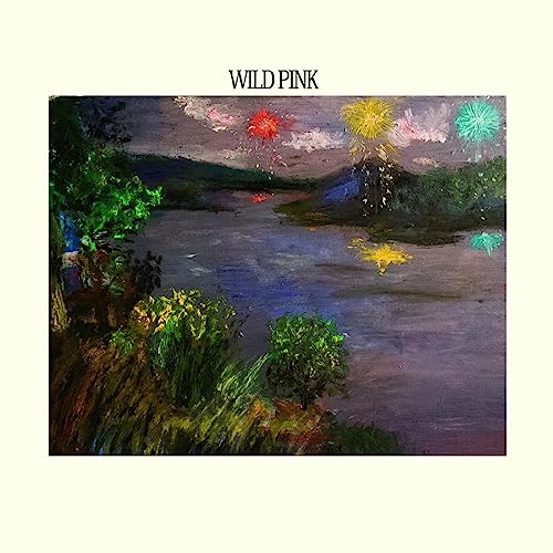 Wild Pink [Vinyl LP] von Tiny Engines