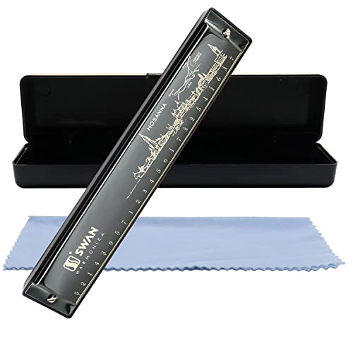 Mundharmonika Armonica Harmonica 24 Loch Tonart C Diatonische Polyphone Blues Mundharmonika Professionelles Musikinstrument für Kinder Erwachsene Anfänger Geschenk von Tioamy