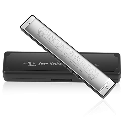 Mundharmonika Professionelle C-Dur Blues Harmonica Diatonische 24 Loch mit Fall für Blues Folk Jazz Pop für Erwachsene Kind Kinder Student Anfänger Geschenk (Silber) von Tioamy