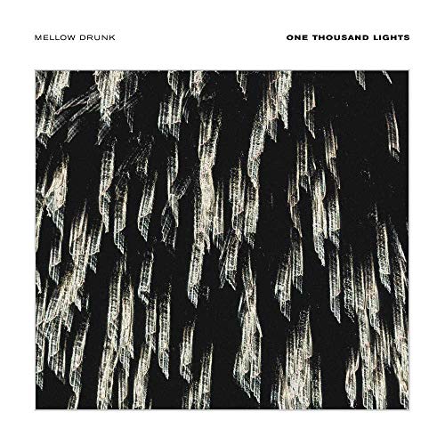 One Thousand Lights (LP) [VINYL] [Vinyl LP] von Tip Top Recordings