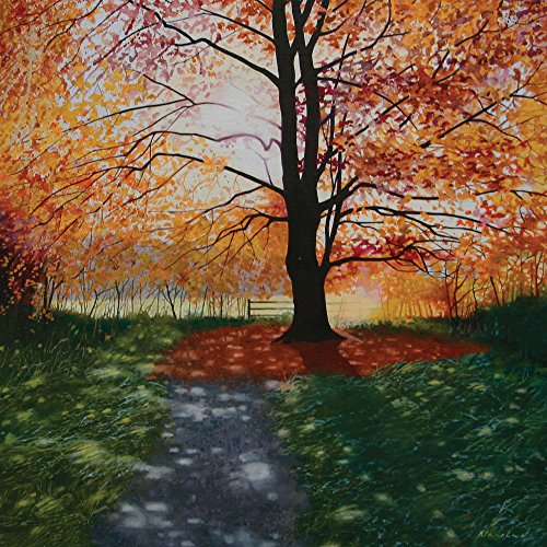 Tirrito Grußkarte 'Autumn Light' Landschaft Szene mit Umschlag - Dankeschön - 15 cm x 15 cm - Orange - Natur - Realistisch von Tirrito