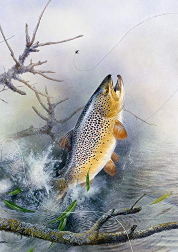 Grußkarte zum Fliegenfischen von Maurice Pledger Springende Forelle Grußkarte zum Fliegenfischen von Maurice Pledger Springende Forelle von Tirrito