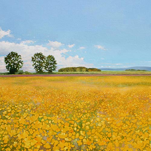 Heather Blanchard Grußkarte mit Wildblumen und Landschaft Butterblumen Heather Blanchard Grußkarte mit Wildblumen und Landschaft Butterblumen von Tirrito