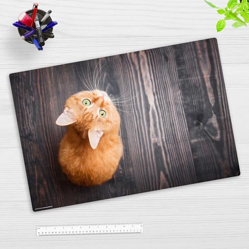 Schreibtischunterlage Kinder und Erwachsene – “Orange Katze“ – aus erstklassigem, strapazierfähigem Vinyl (Kunststoff) – 60 x 40 cm – Rutschfeste Schreibunterlage für besten Schutz – Made in Germany von Tischsetmacher