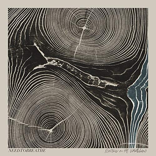 Rivers In The Wasteland Vinyl LP von TizzyToy