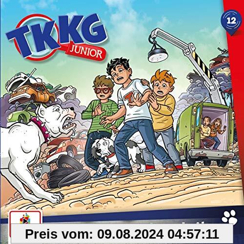 012/Schmierige Angelegenheiten von Tkkg Junior