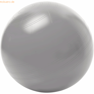 Togu Sitzball ABS 408551 kein Wegrollen 55cm Größe M silber Togu Sitzball ABS 408551 kein Wegrollen 55cm Größe M silber von Togu