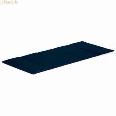 Togu Trainingsmatte Premium Easy 971200 180x60x1cm schwarz Togu Trainingsmatte Premium Easy 971200 180x60x1cm schwarz von Togu