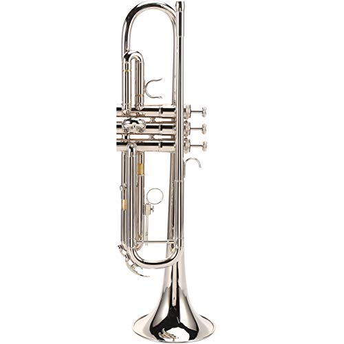 Trompete mit Mundstück Schönes Aussehen Musikinstrumente Exquisites Design für Trompeter für Konzerte von Tomanbery