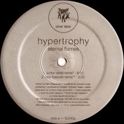 Eternal Flames [Vinyl Single] von Tommy Boy
