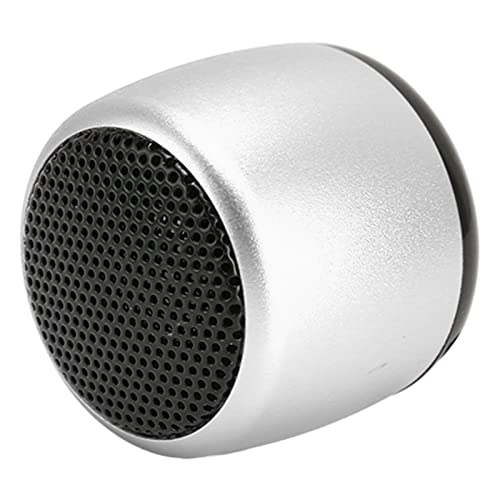 -drahtloser Lautsprecher, Langstrecken - 5.0 -Lautsprecher, Kompaktes Design, Klares und Großes Volumen, Weit verbreitet. Eingebautes Mikrofon für Freisprechanrufe, (Silber) von Tomvorks