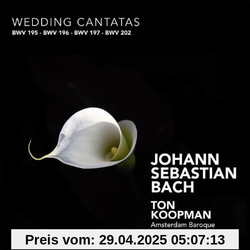 WEDDING CANTATAS von Ton Koopman