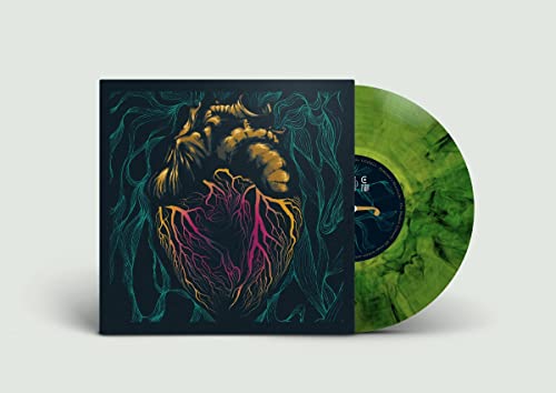 Someone'S Heartache (Ltd.Gtf.Green/Black Lp) [Vinyl LP] von Tonzonen Records (Soulfood)