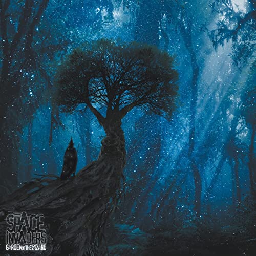 Garden of the Wizard (Ltd.Gtf.Blue/Black 2lp) [Vinyl LP] von Tonzonen Records