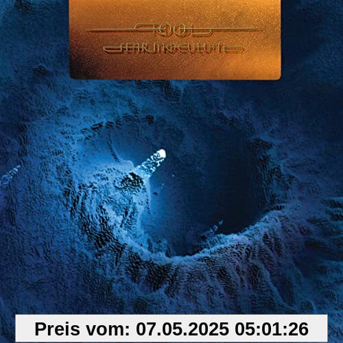 Fear Inoculum (Limited Edition Vinyl) von Tool