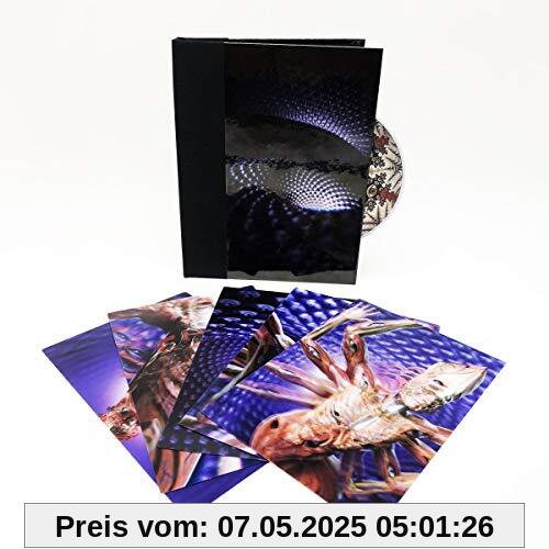 TOOL - Fear Inocolum, Expanded Book Edition TOOL - Fear Inocolum, Expanded Book Edition von Tool