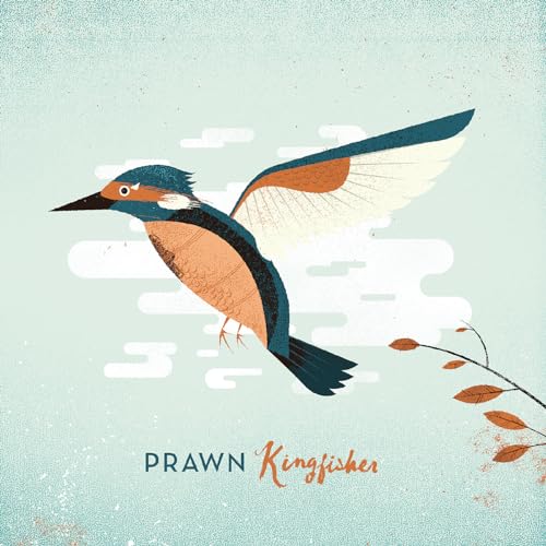 Kingfisher [Vinyl LP] von Topshelf Records