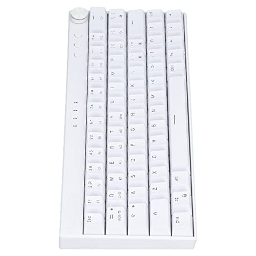 Mechanische Tastatur, Ergonomische RGB-Tastatur mit 64 Tasten, Kabellose 2,4-G/-/Typ-c-Schreibmaschine mit Knopf, für für für OS X, Plus-Version, Weiß (Blauer Schalter) von Topiky