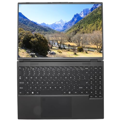 Newst 16 Zoll Laptop, Bildungs- und Gaming Laptop für Kinder, Business Laptop für Intel Celeron 4 Core Prozessor, für Windows 11Pro (16GB 1TB EU-Stecker) von Topiky