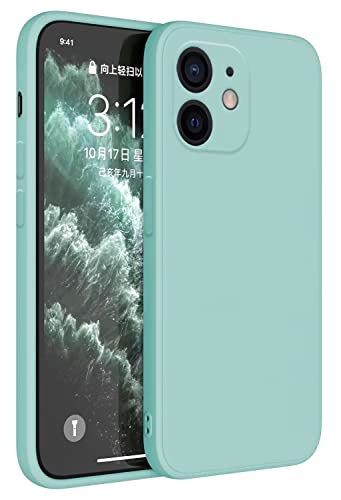 Topme Handyhülle Hülle Fur iPhone 12 Mini 5.4" Case Schutzhülle, Hautschutz Aus TPU Silikonhülle - Helles Cyan von Topme