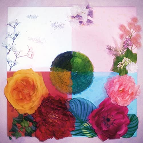P.O.C (Proof of Concept) [Vinyl LP] von Topshelf Records (H'Art)