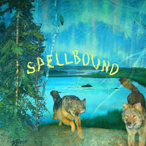 Spellbound [Musikkassette] von Topshelf Records (H'Art)