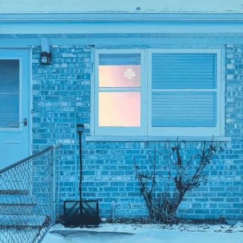 The Window [Vinyl LP] von Topshelf Records (H'Art)
