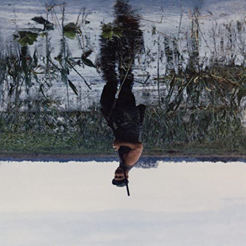Animal Drowning (GRAY CASSETTE) [Musikkassette] von Topshelf Records