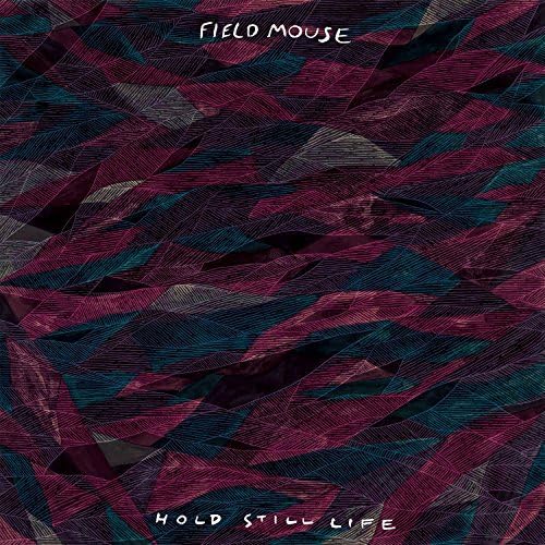 Hold Still Life [Musikkassette] von Topshelf Records