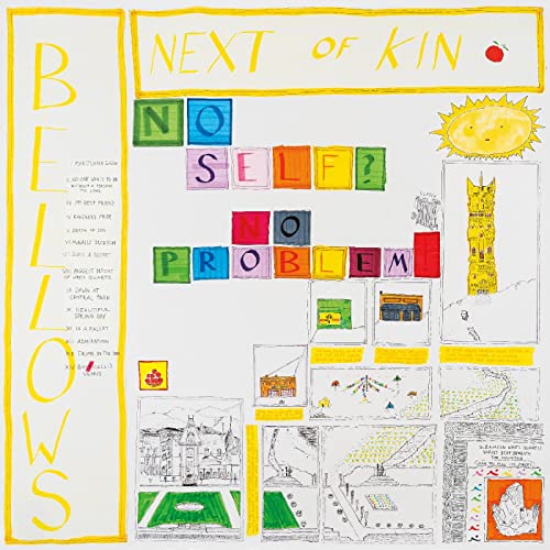 Next Of Kin [Vinyl LP] von Topshelf Records