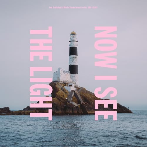 Now I See the Light [Vinyl LP] von Topshelf Records
