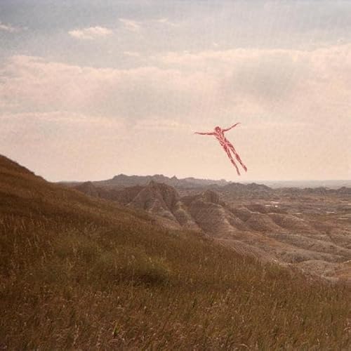 Skinless Takes A Flight [Vinyl LP] von Topshelf Records