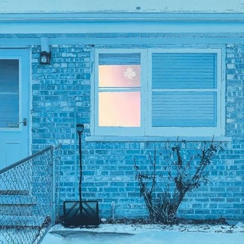 The Window [Musikkassette] von Topshelf Records