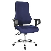 DREHST.TOP POINT DELUXE BLAU (TOP POINT DELUXE G26) von Topstar