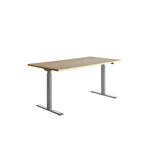 Topstar E-Table elektrisch höhenverstellbarer Schreibtisch ahorn rechteckig, T-Fuß-Gestell grau 160,0 x 80,0 cm Topstar E-Table elektrisch höhenverstellbarer Schreibtisch ahorn rechteckig, T-Fuß-Gestell grau 160,0 x 80,0 cm von Topstar