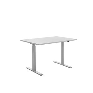 Topstar E-Table elektrisch höhenverstellbarer Schreibtisch lichtgrau rechteckig, T-Fuß-Gestell grau 120,0 x 80,0 cm Topstar E-Table elektrisch höhenverstellbarer Schreibtisch lichtgrau rechteckig, T-Fuß-Gestell grau 120,0 x 80,0 cm von Topstar